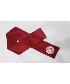 băng đeo hoa hậu 8 0ea4b1b0cda1939f095791ef9c851c4f 6711 572x321