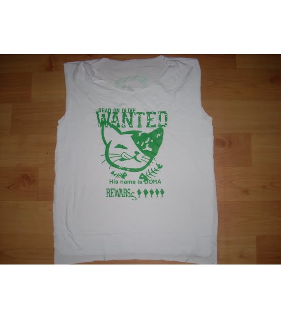 in áo thể thao 3 dscn3390