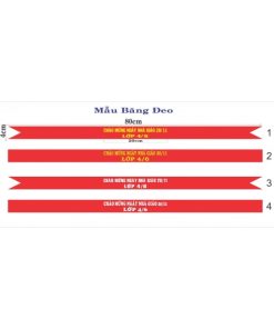 băng đeo hoa hậu 7 z2168216167114311270f819072c35a5b09628744e4551 7384 572x248