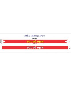 băng đeo hoa hậu 6 z21720618239723407909d2d1cf42e1ab8458ea1821a59 477 572x143 1